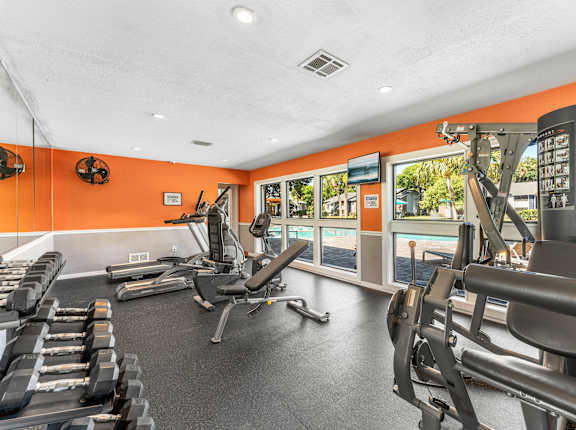 the gym at 1861 muleshoe road has cardio equipment and windows