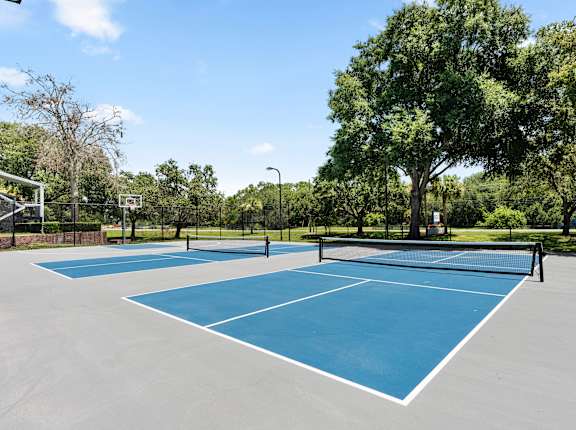 two tennis courts with trees in the background on a sunny day