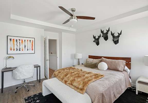 A bedroom with a bed, a chair, a desk, and a ceiling fan.