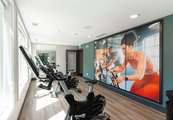 A gym with a row of stationary bikes and a large poster of a woman exercising.
