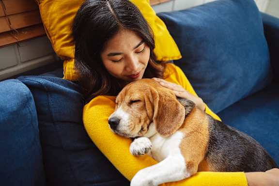 A woman is cuddling with a beagle on a blue couch.