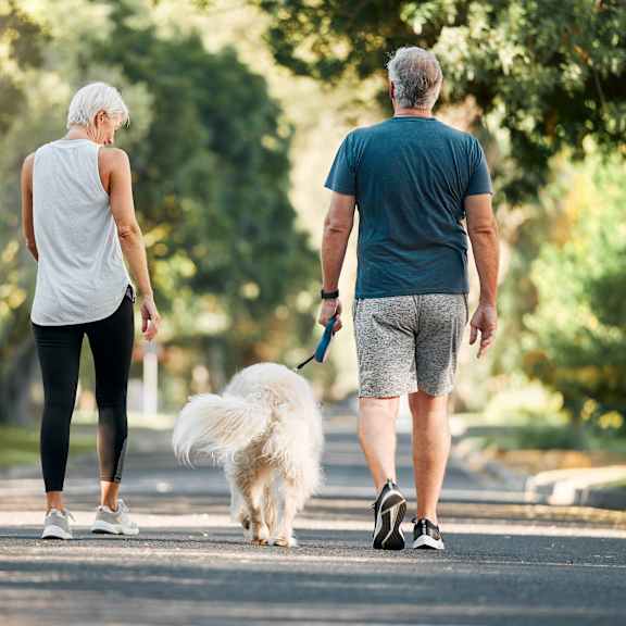 A man and woman walking a dog in a park.