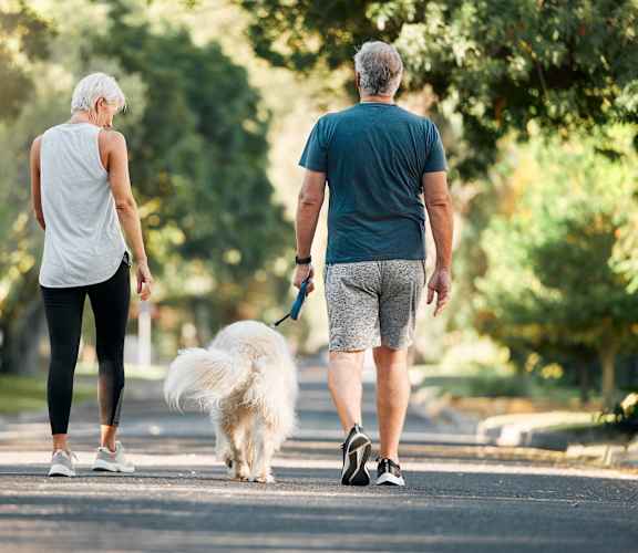An elderly couple walking a small white dog in a park.