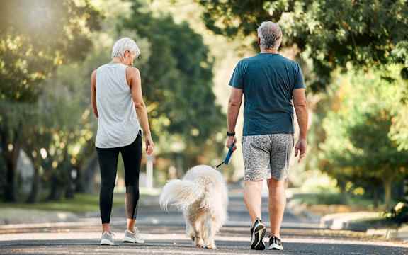 An elderly couple walking a small white dog in a park.