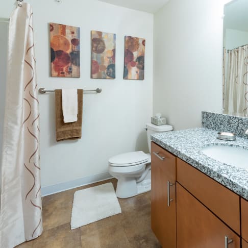 a bathroom with a sink and a toilet and a shower