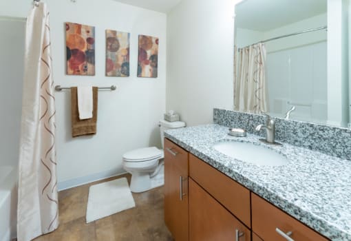 Phase 1 Bathroom at Alger Apartments, Grayling, MI 49738