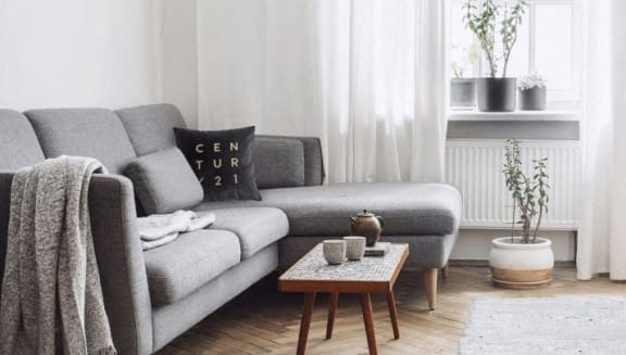 a living room with a gray couch and plants
