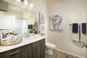 a bathroom with a sink and a toilet and a mirror