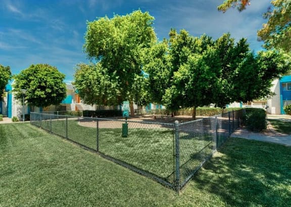 A green lawn with a fence and trees in the background. at Sycamore Square  Apartments, Arizona, 85202