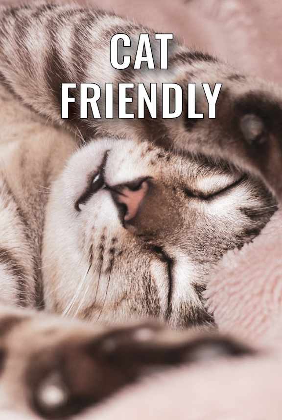 a cat sleeping on a furry blanket