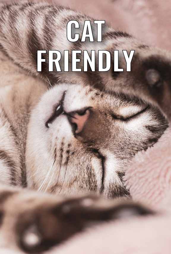 a cat sleeping on a furry blanket