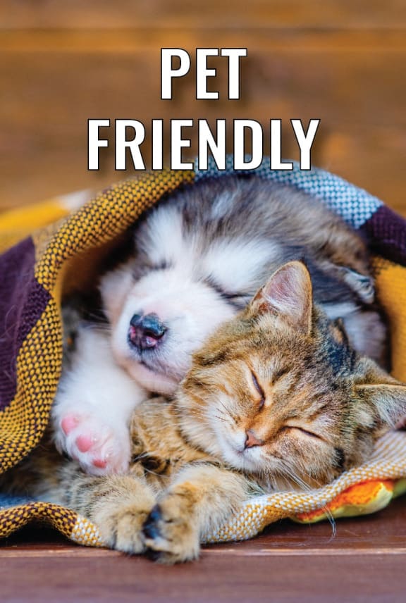 a cat sleeping on a furry blanket