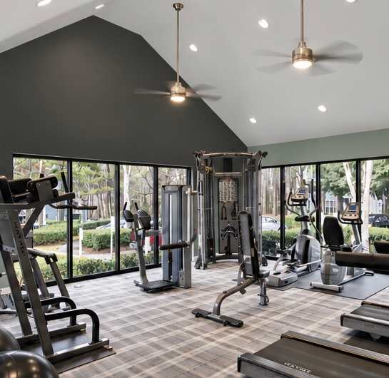 A gym with a variety of equipment including treadmills, weights, and a bench press.