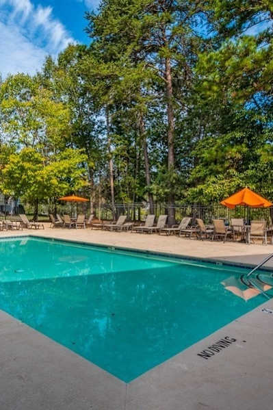 A large blue swimming pool surrounded by trees and lounge chairs.