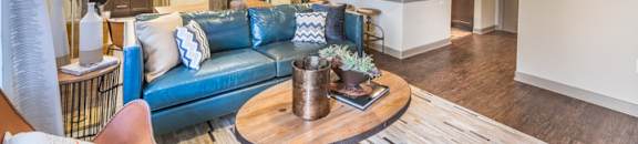 Living Room Interior at Aviator West 7th, Texas