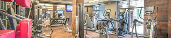Two Level Fitness Center at Aviator West 7th, Fort Worth
