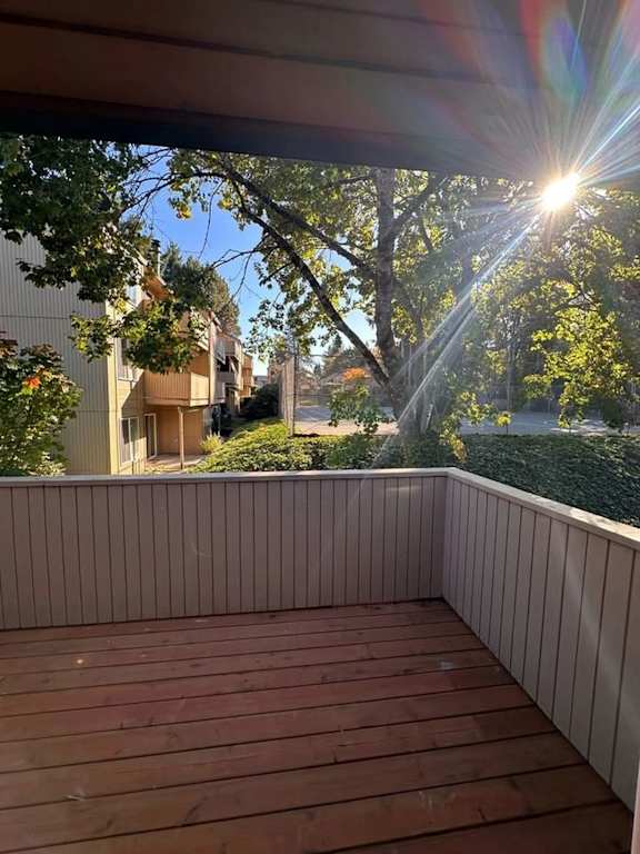 A wooden deck with a sunbeam shining through the trees.