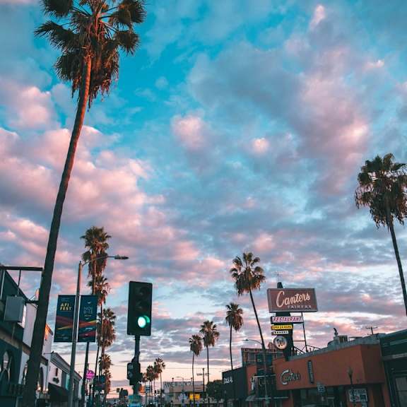 A street scene with palm trees and a traffic light showing green.