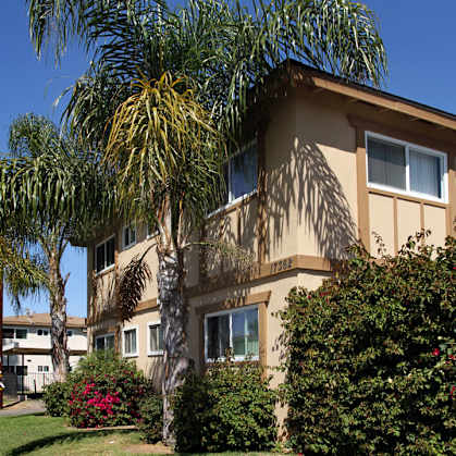 A house with a palm tree in front of it.