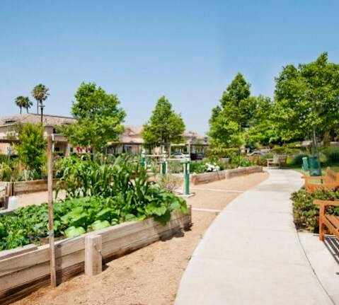 A garden with a wooden bench on the right side.