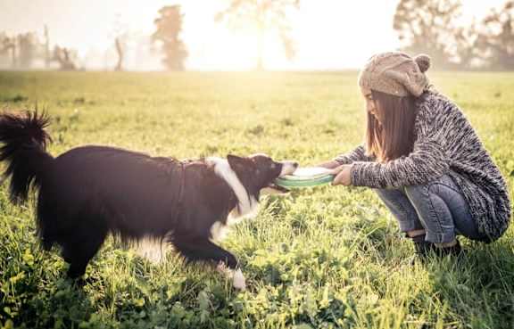 A woman is playing Frisbee with a dog in a field.