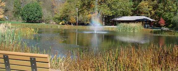 A park bench sits in front of a pond with a fountain.