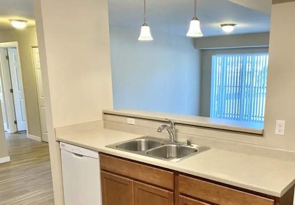 A kitchen with a white dishwasher and a white sink.