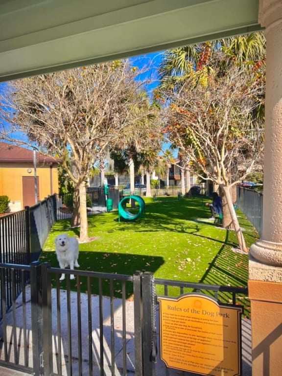 a dog sitting on a fence in front of a park at Hacienda Club Apartments in Jacksonville, FL