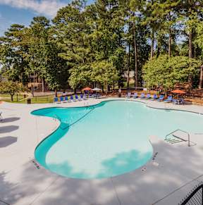 a swimming pool with chairs and umbrellas and trees at The Pointe at Midtown, Raleigh, NC, 27609