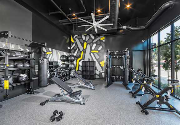 gym