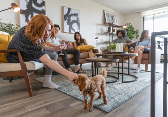 Apartments for rent with large dogs cheap