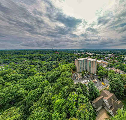 A bird's eye view of a lush green forest with a large building in the center.