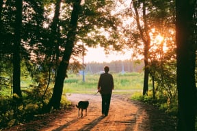 a man walking his dog down a dirt road in the woods