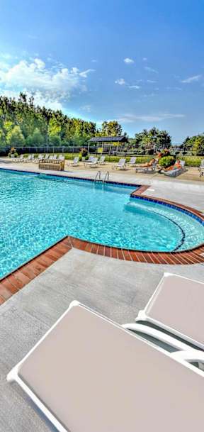 A large swimming pool with a wooden deck and sun loungers.