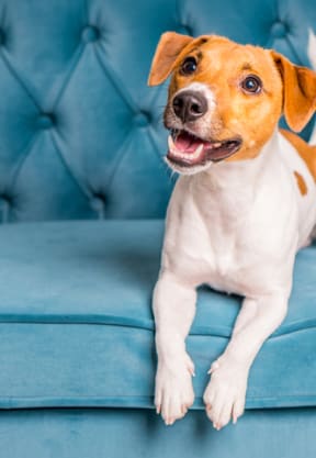 Dogat Monterra at Bonita Springs, Florida, 34135