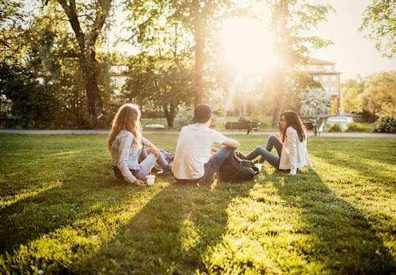 a group of people sitting on the grass
