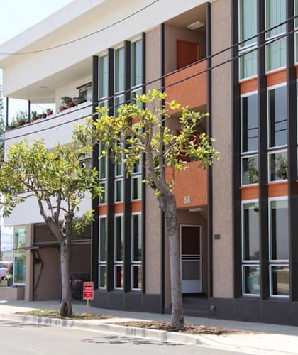A modern building with a tree in front of it.