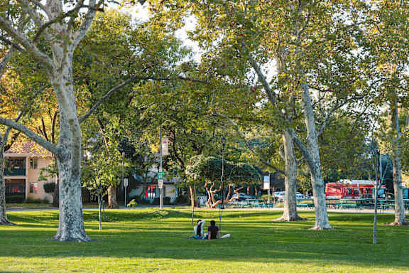 Two people sitting on a bench under a tree in a park.