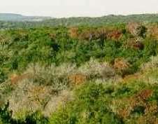 A field of green and brown vegetation stretches out to the horizon.