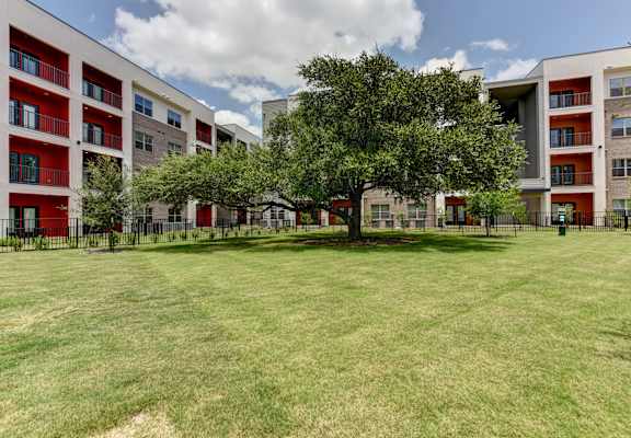 A tree in a grassy area in front of apartment buildings. at Bridge at Saffron, Austin, TX 78717