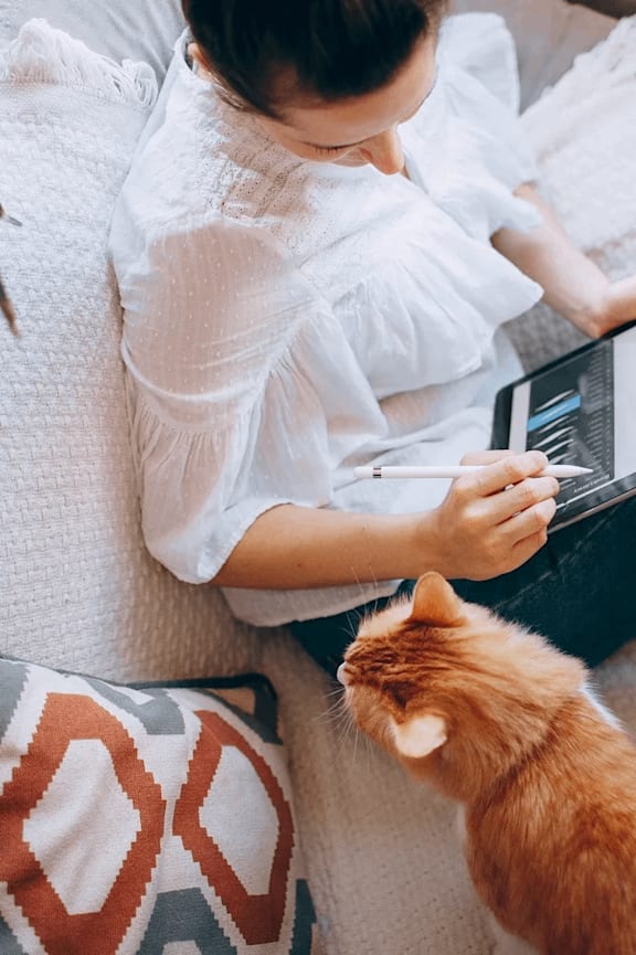 A woman in a white blouse is using a laptop while petting an orange cat.