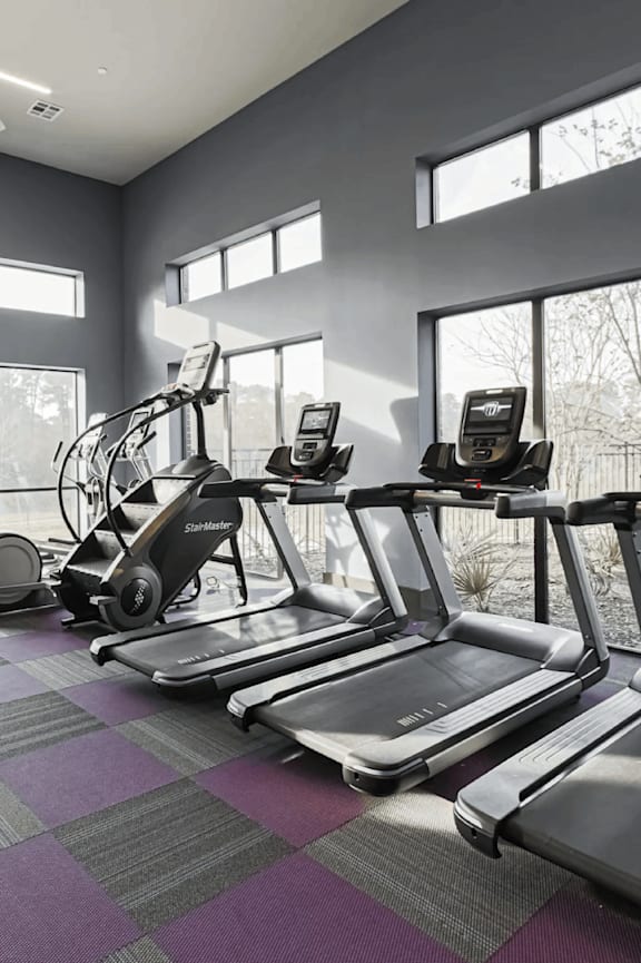 A row of treadmills and elliptical machines in a gym.