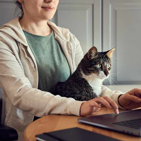 A woman is working on her laptop with a cat sitting on her shoulder.