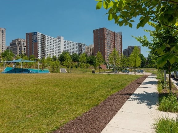 a park with grass and trees with tall buildings in the background