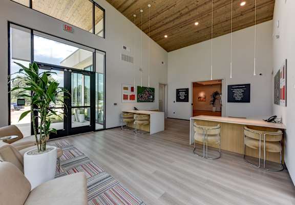 A modern living room with a couch, a potted plant, and a striped rug. at Bridge at Saffron, Austin, TX 78717