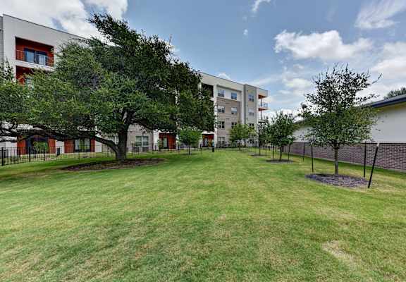 A grassy area in front of a building with trees and a fence. at Bridge at Saffron, Austin, TX