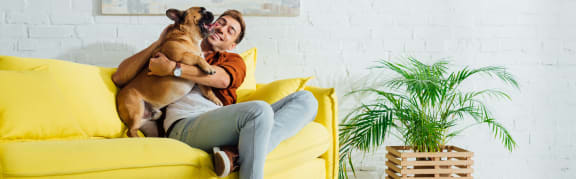 a man sitting on a yellow couch with his dog at Palm Cove Apartments, Daytona Beach Florida