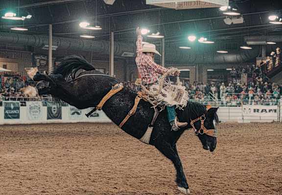 a cowboy riding a horse at a rodeo