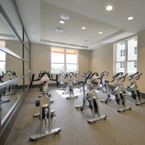 a spacious cardio room with treadmills and ellipticals