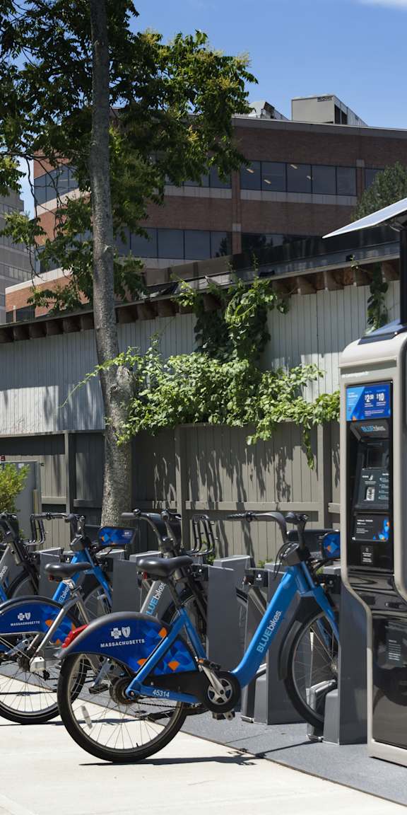 A row of blue bikes are parked at a bike share station.
